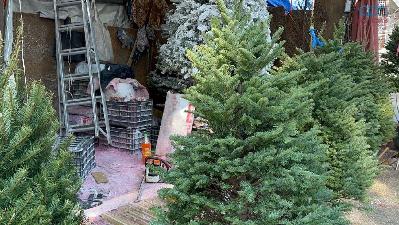 ¡Adiós Árbol de Navidad! Esta es la nueva tendencia que los reemplazará